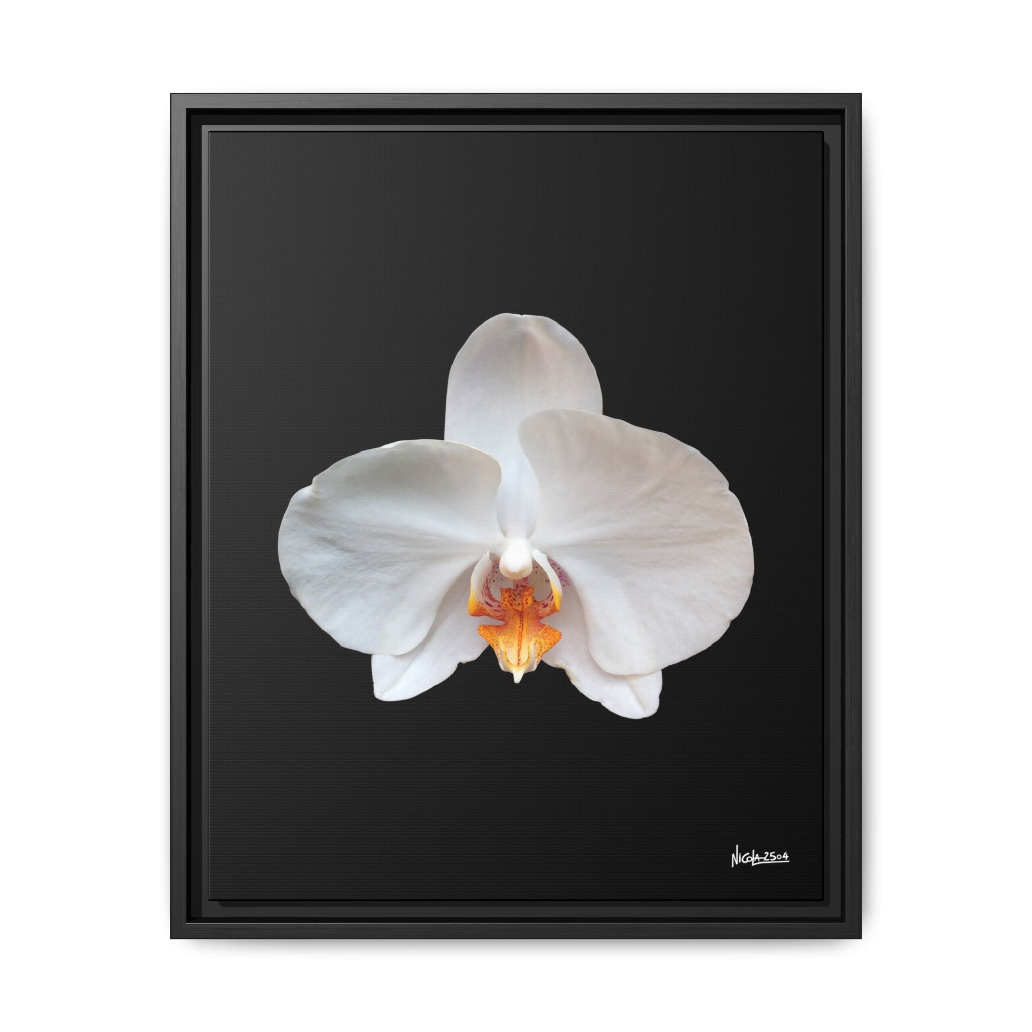 Whispers of the Unseen Framed - 16X20