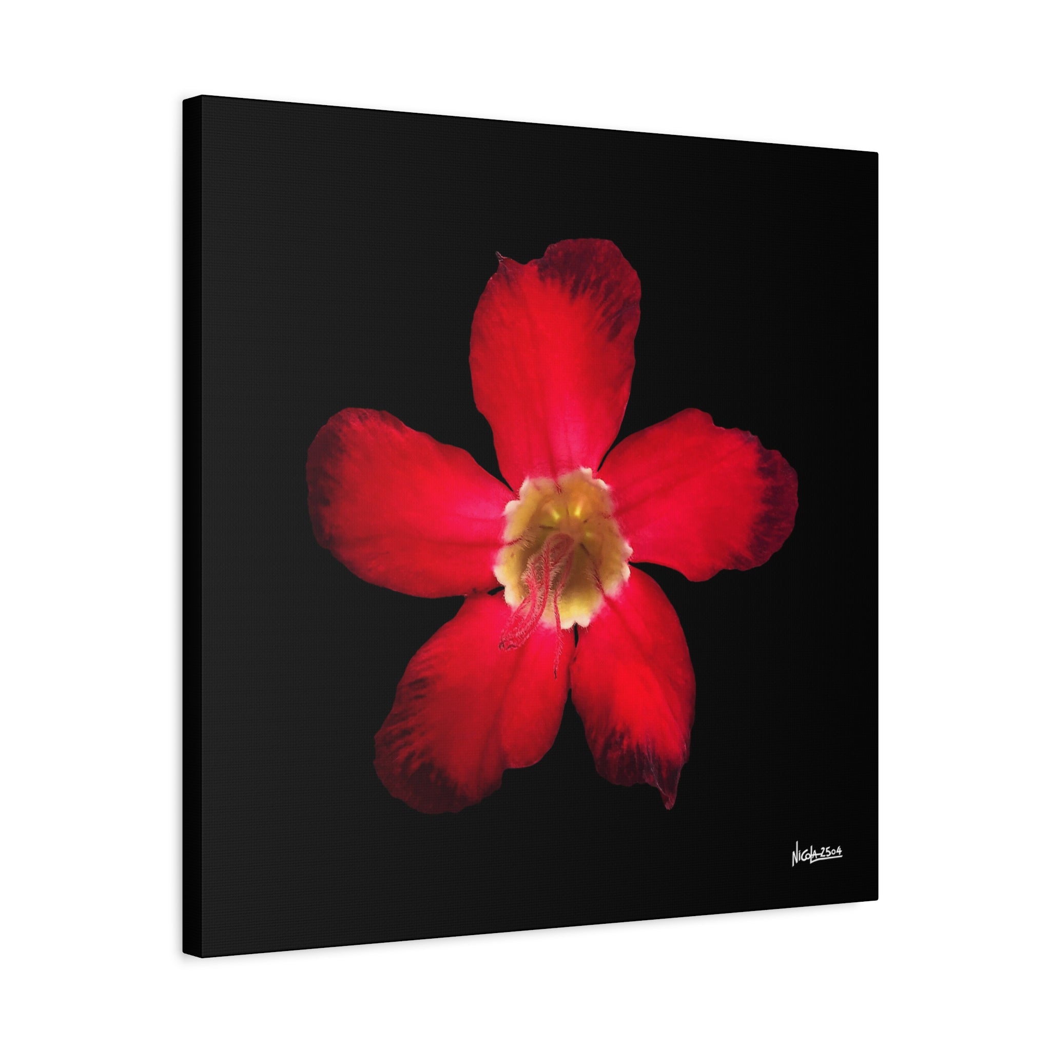 Passion in Bloom - 24X24
