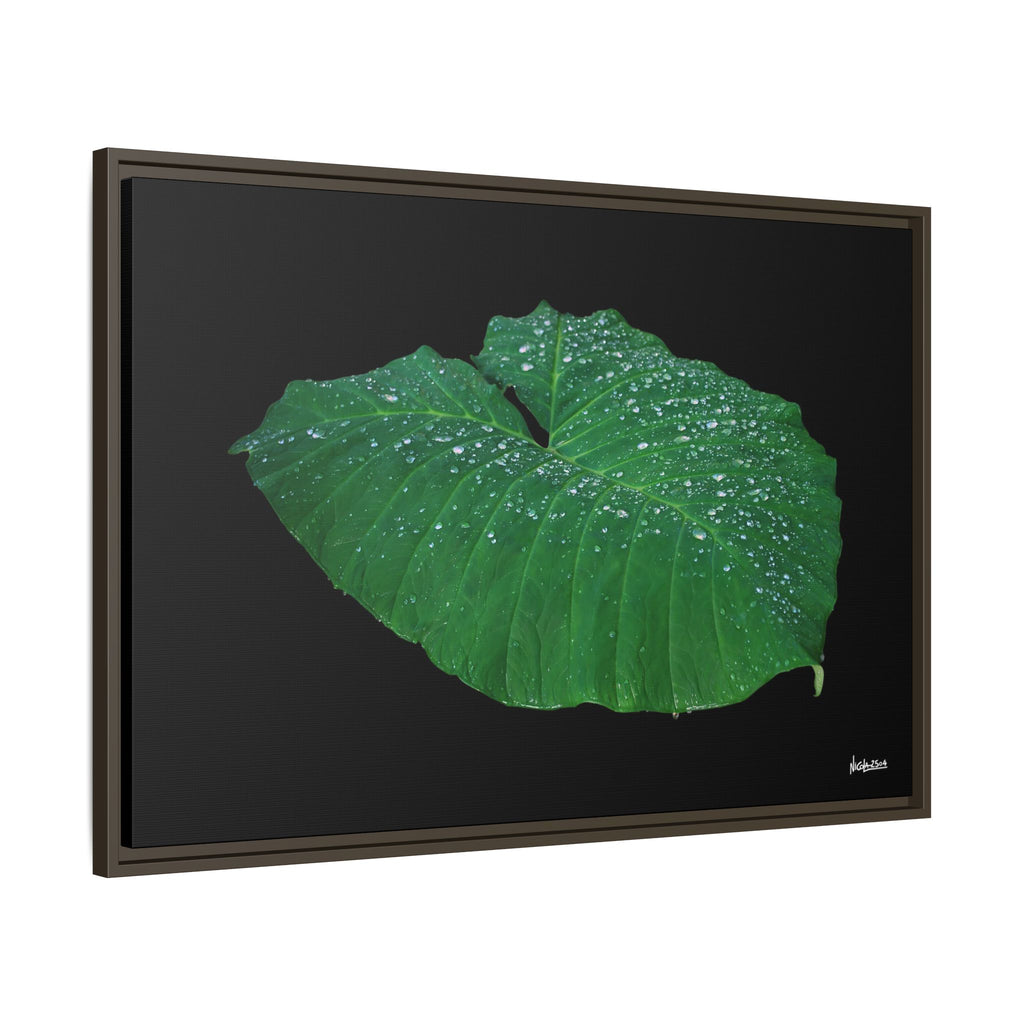 Blessing of the Rain Framed - 36X24