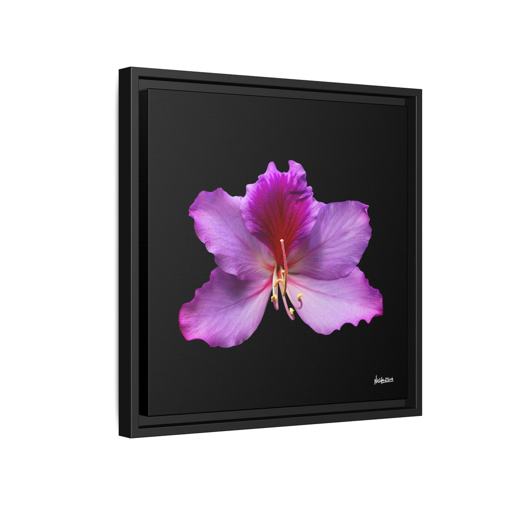 Listening Petals Framed - 16X16