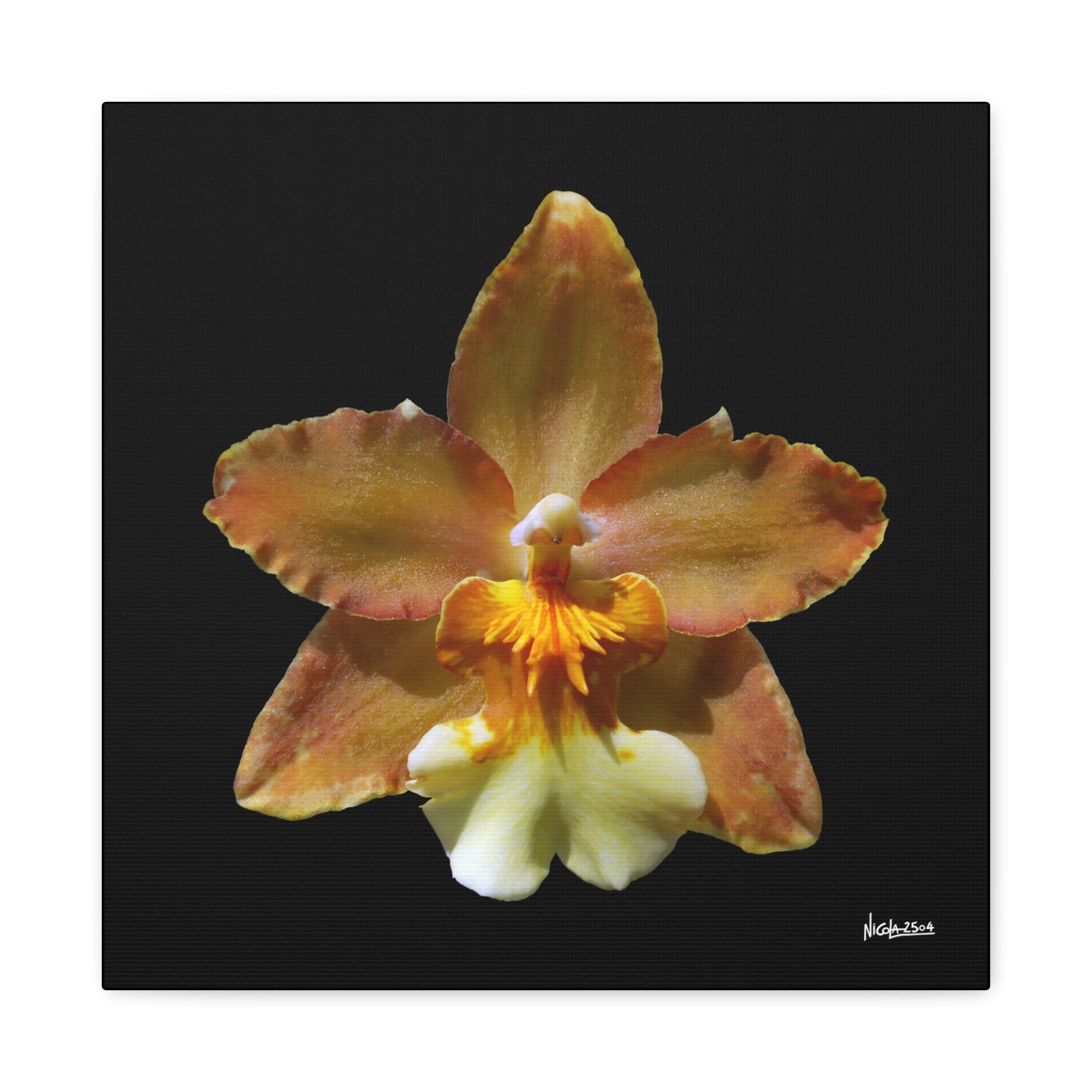 Golden Harmony - 16X16