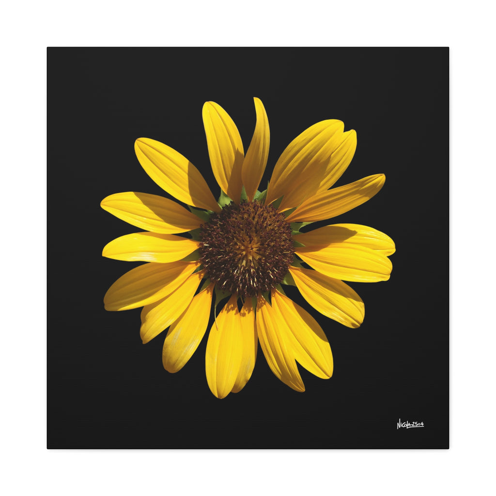 Radiant Inner Sun - 30X30