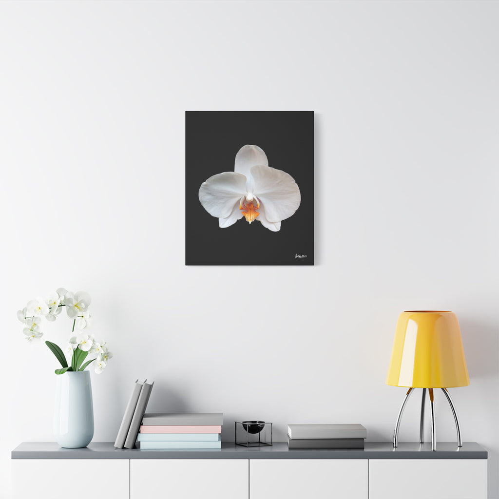 Whisper of the Unseen - 20X24