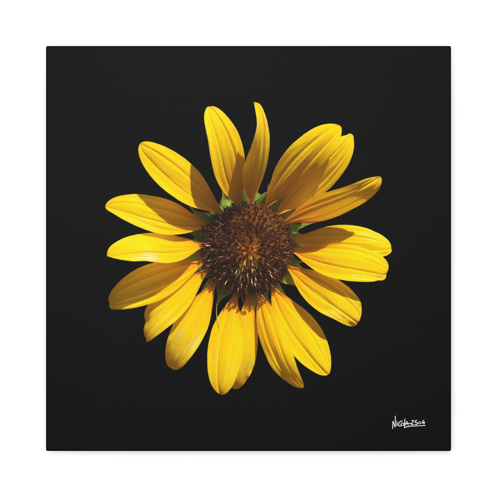 Radiant Inner Sun - 24X24