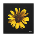 Radiant Inner Sun - 24X24