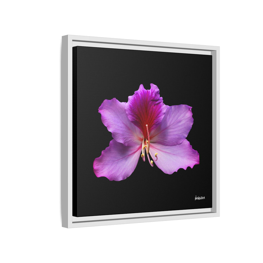 Listening Petals Framed - 16X16