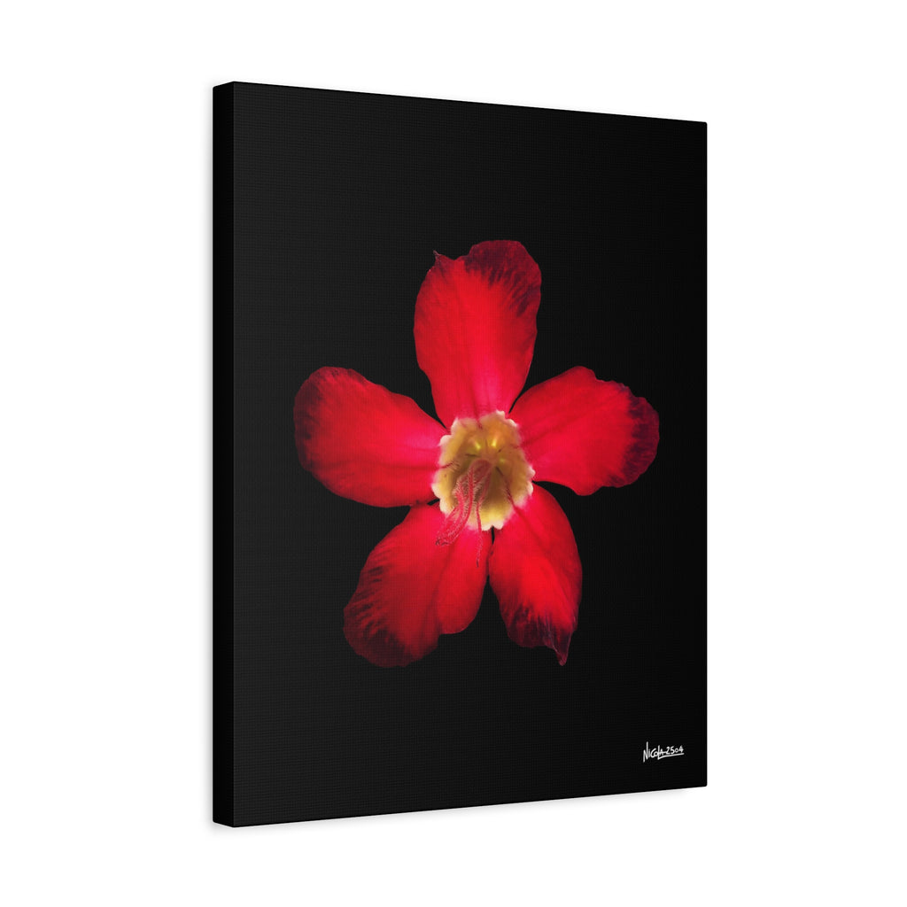 Passion in Bloom - 16X20