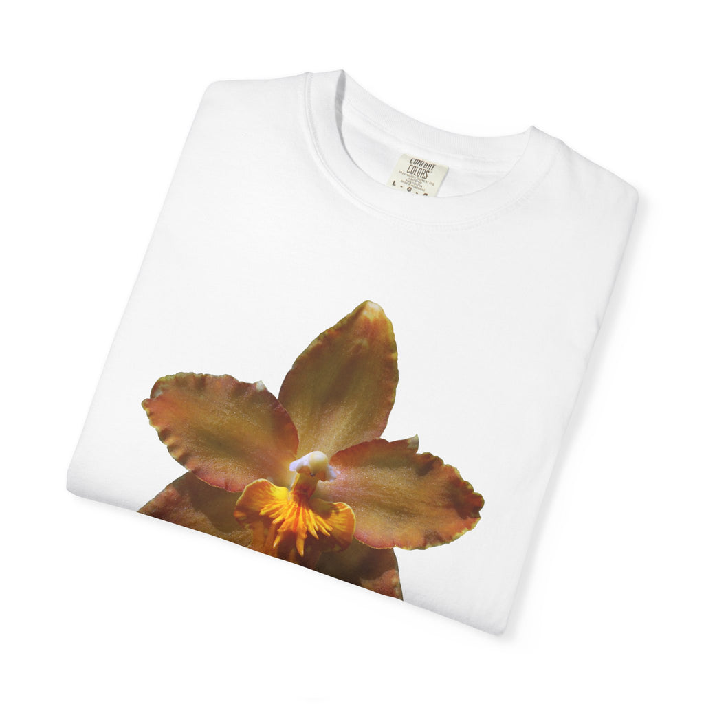 Golden Harmony - White