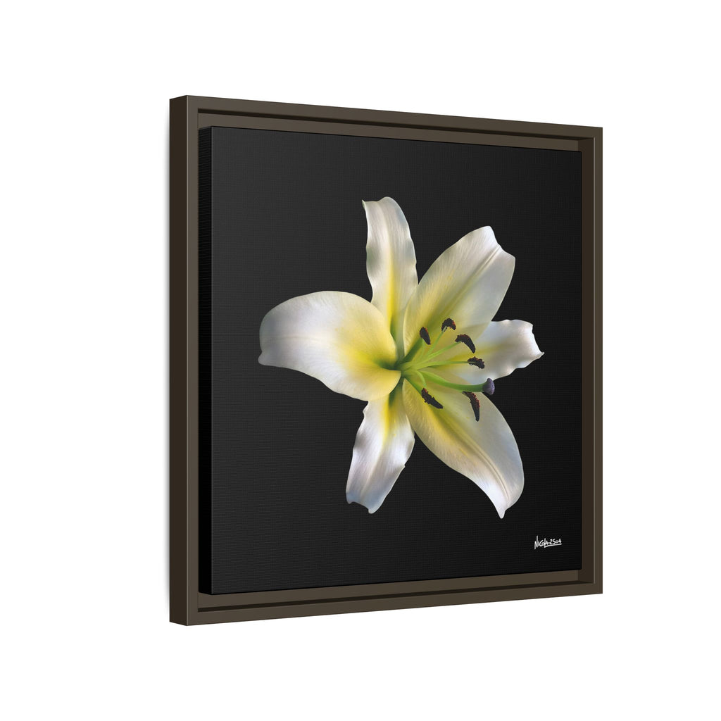 Nature's Paradise Framed - 16X16