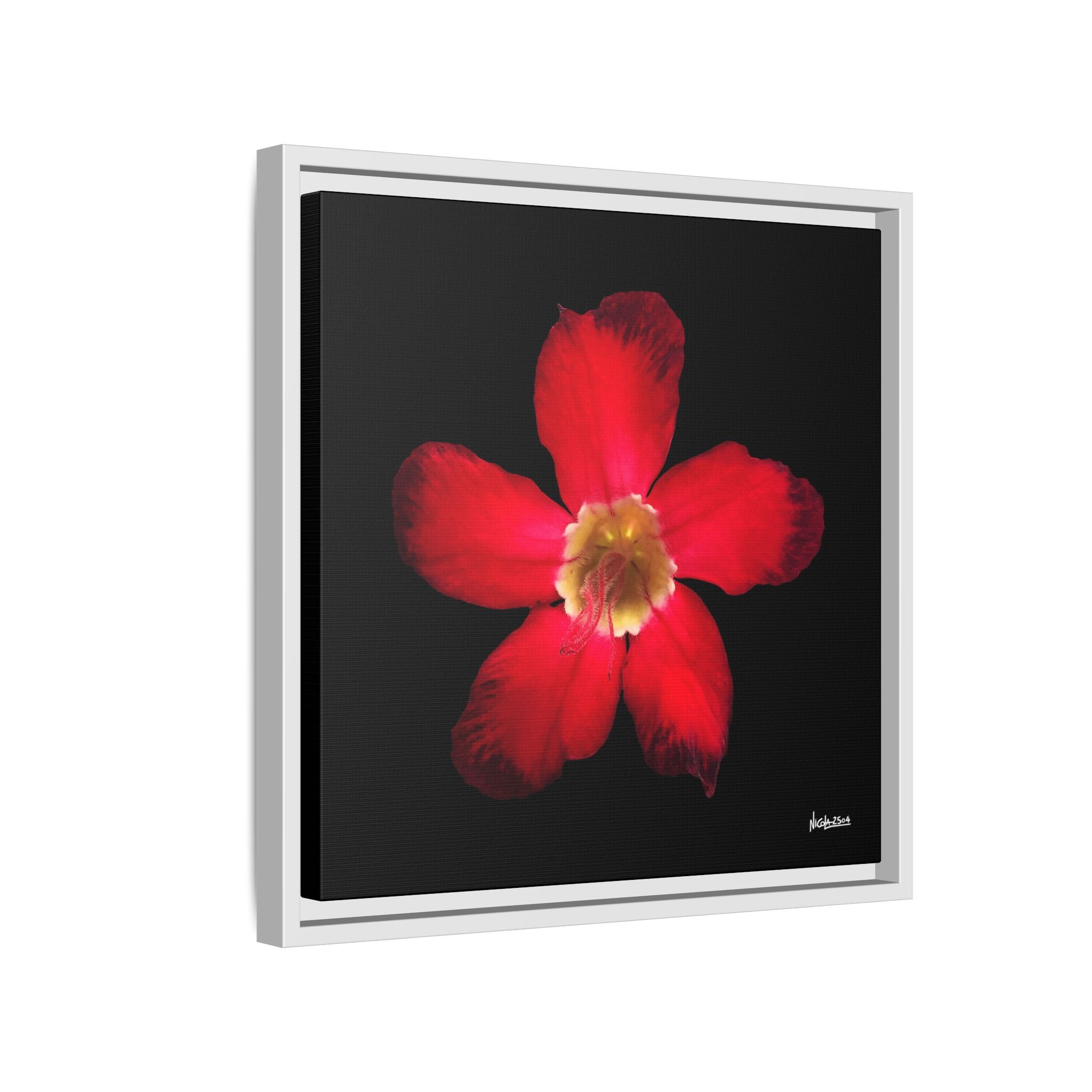 Passion in Bloom Framed - 16X16