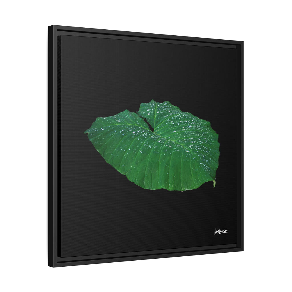 Blessing of the Rain Framed - 24X24
