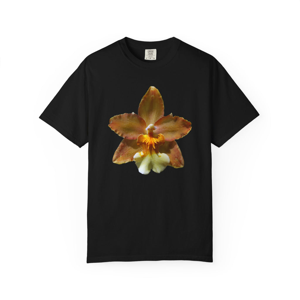 Golden Harmony - Black