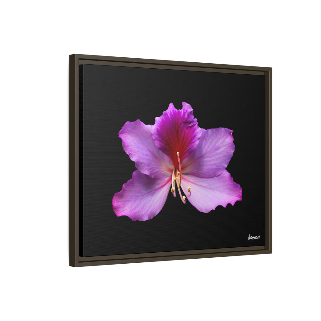 Listening Petals Framed - 24X20