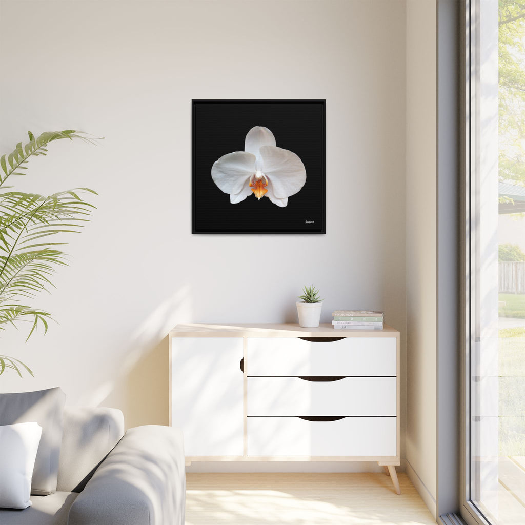 Whispers of the Unseen Framed - 30X30