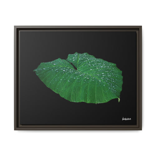 Blessing of the Rain Framed - 20X16