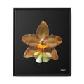 Golden Harmony Framed - 20X24