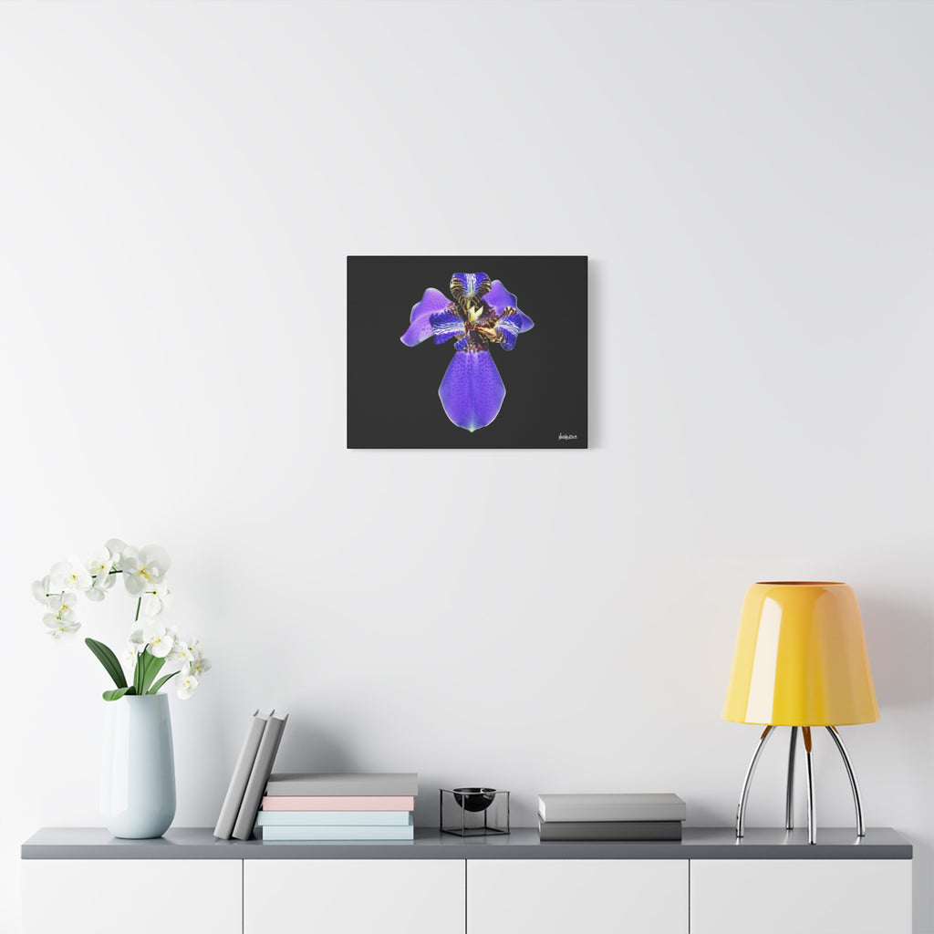 Gift of the Wait - 20X16