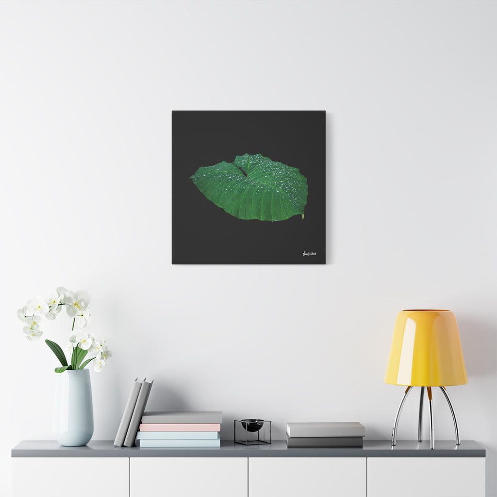 Blessing of the Rain - 24X24
