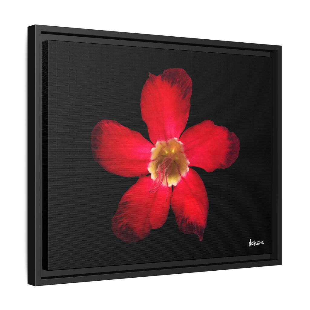 Passion in Bloom Framed - 20X16