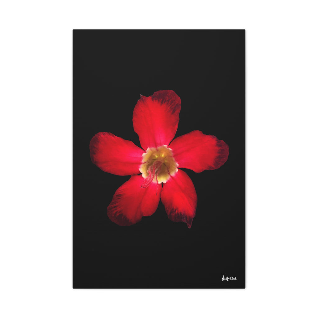 Passion in Bloom - 24X36