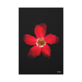 Passion in Bloom - 24X36