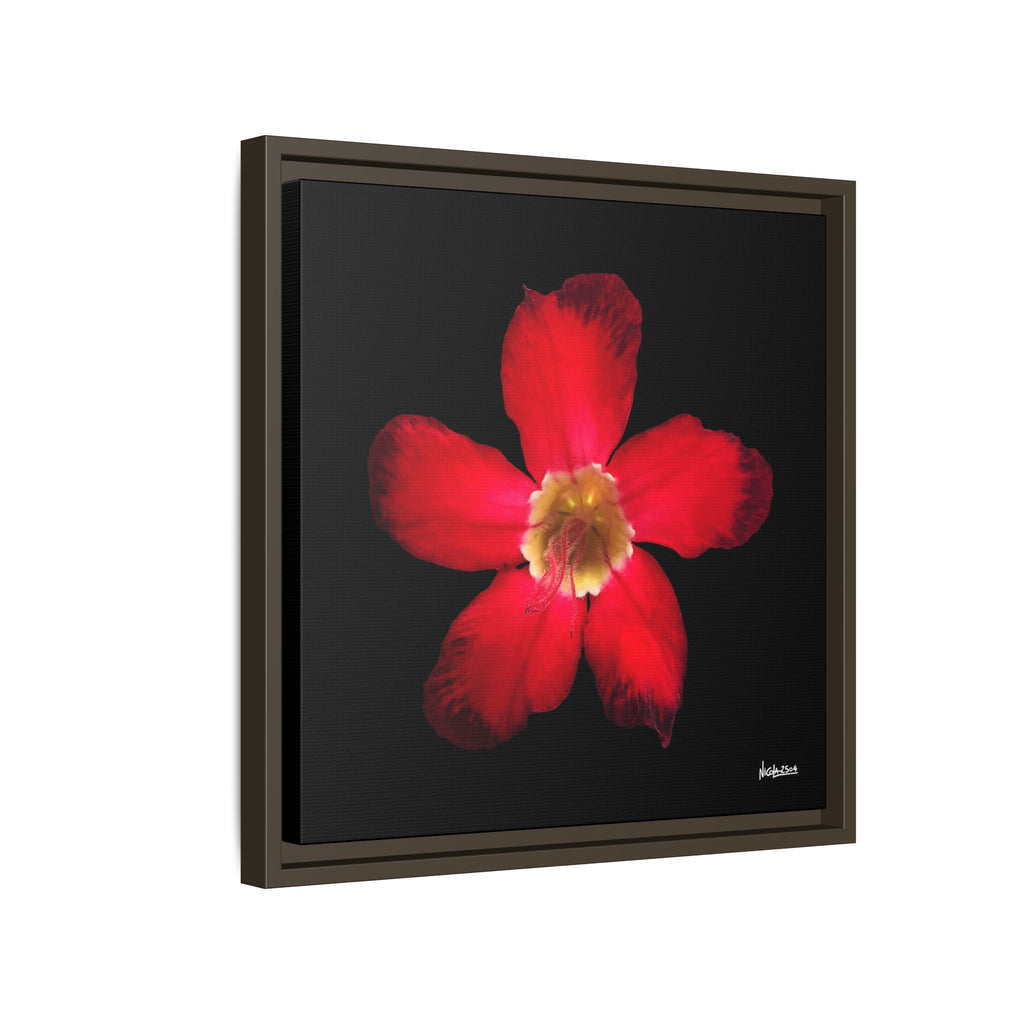 Passion in Bloom Framed - 16X16