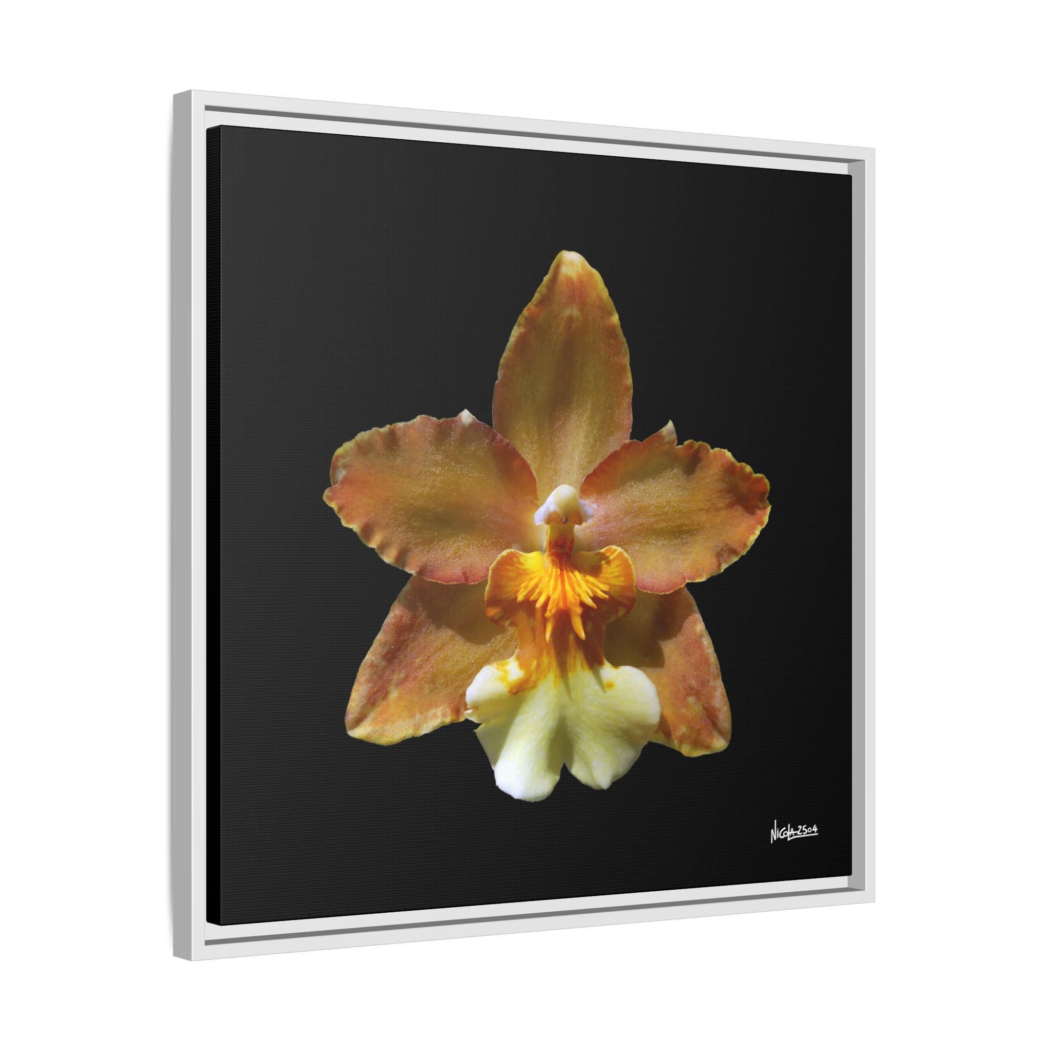 Golden Harmony Framed - 24X24