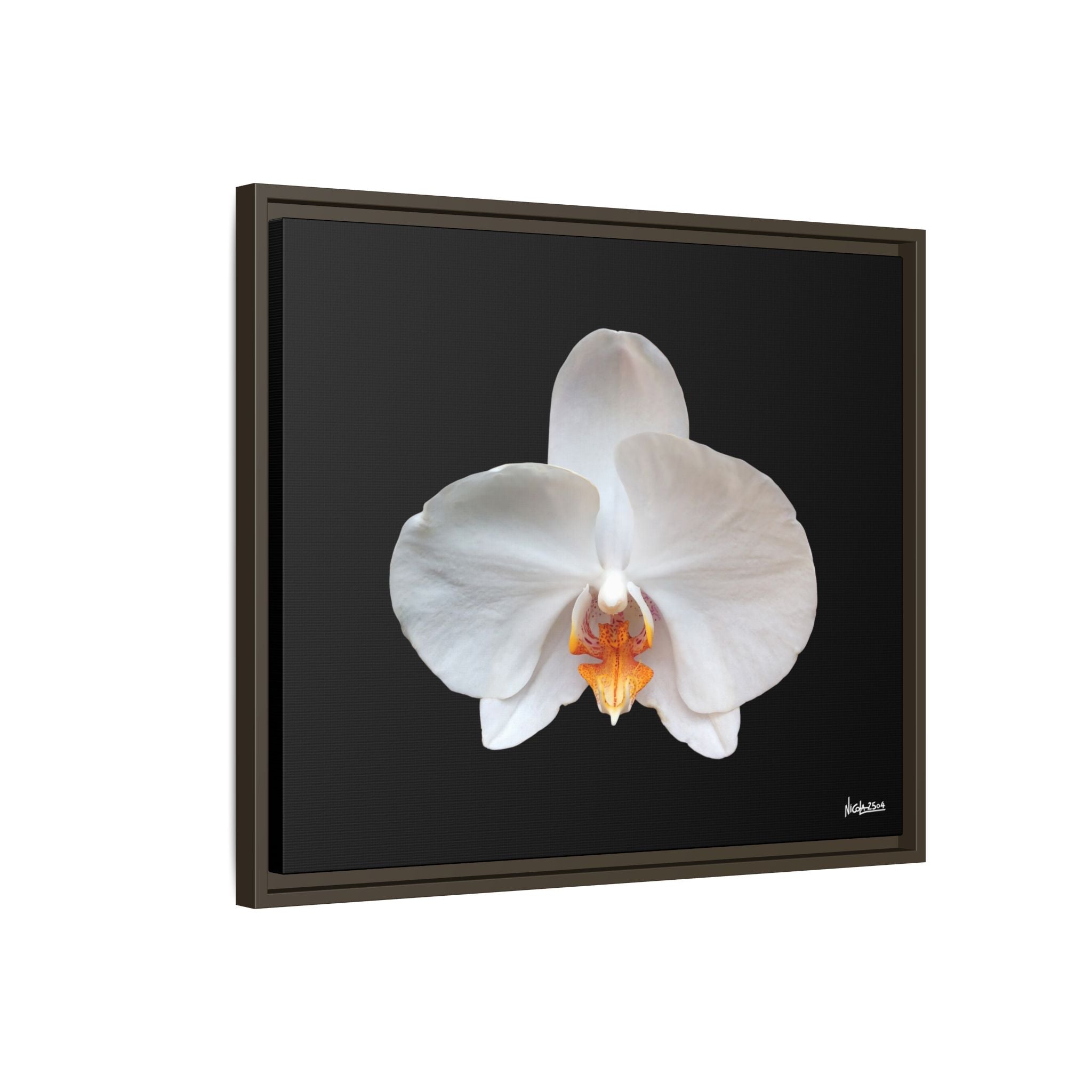 Whispers of the Unseen Framed - 24X20