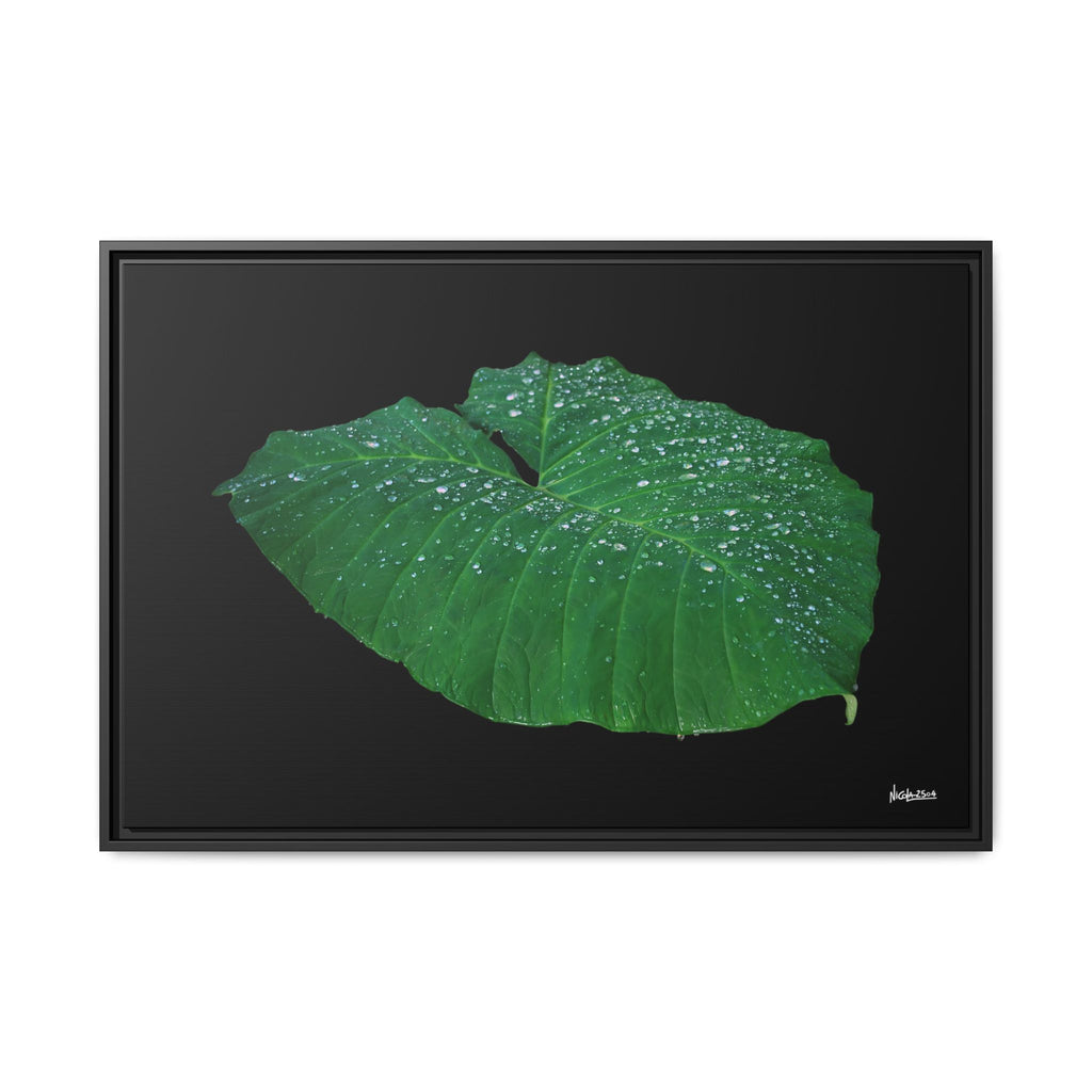 Blessing of the Rain Framed - 36X24