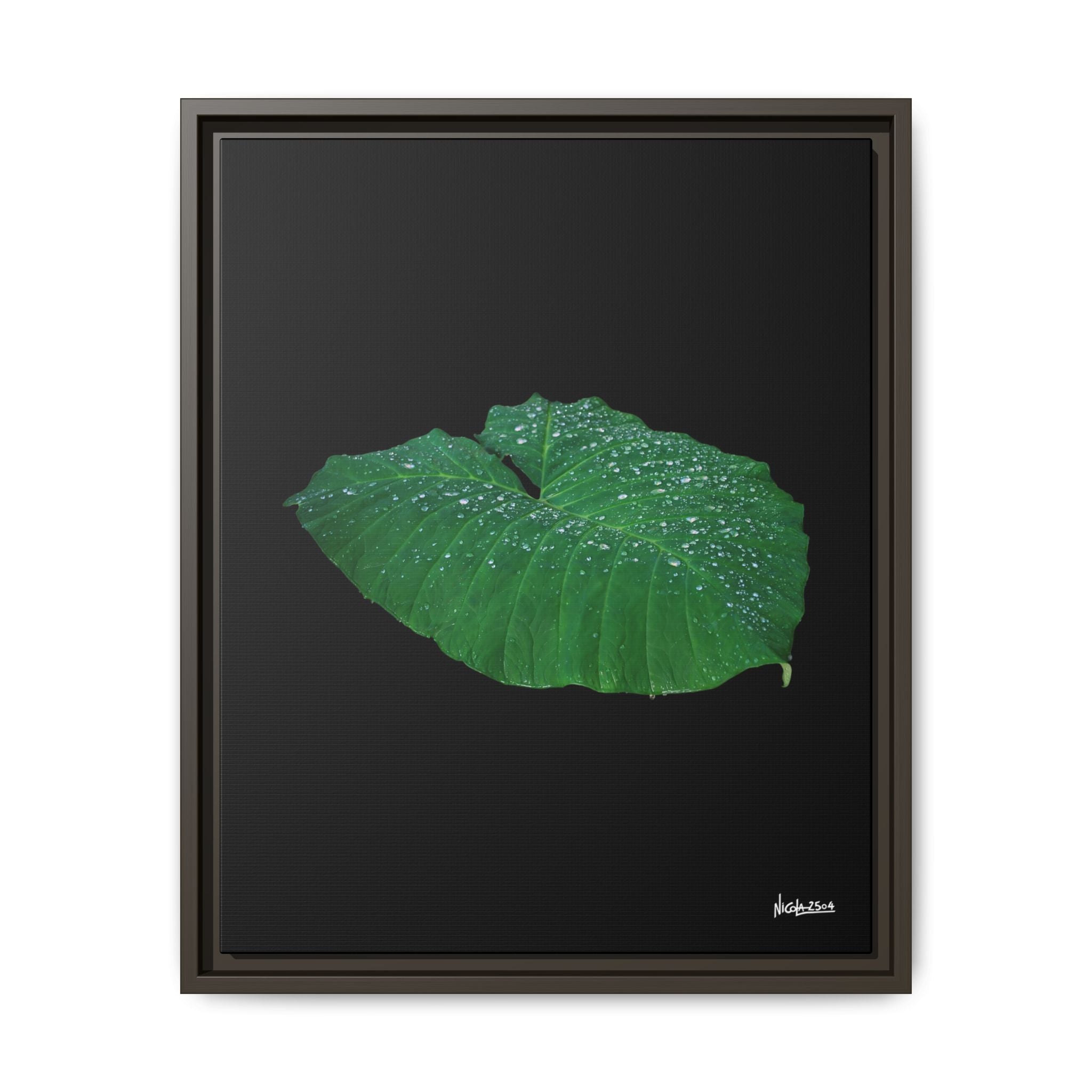 Blessing of the Rain Framed - 16X20