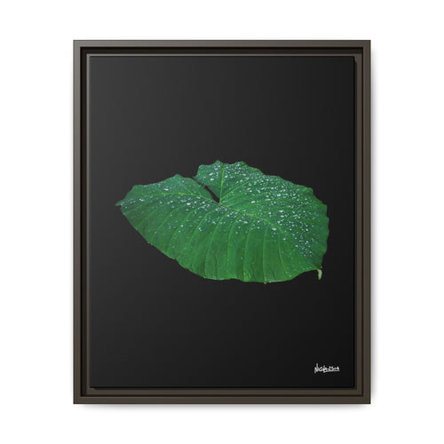 Blessing of the Rain Framed - 16X20