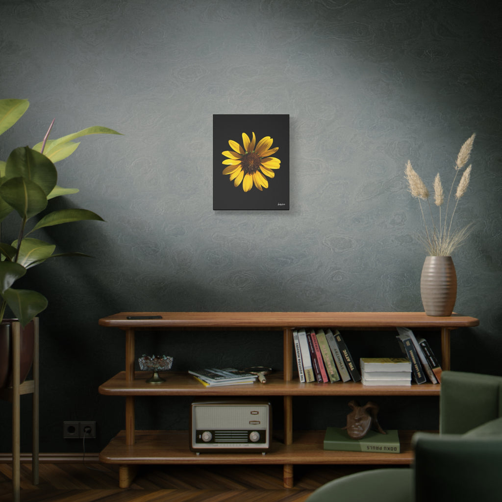 Radiant Inner Sun - 16X20