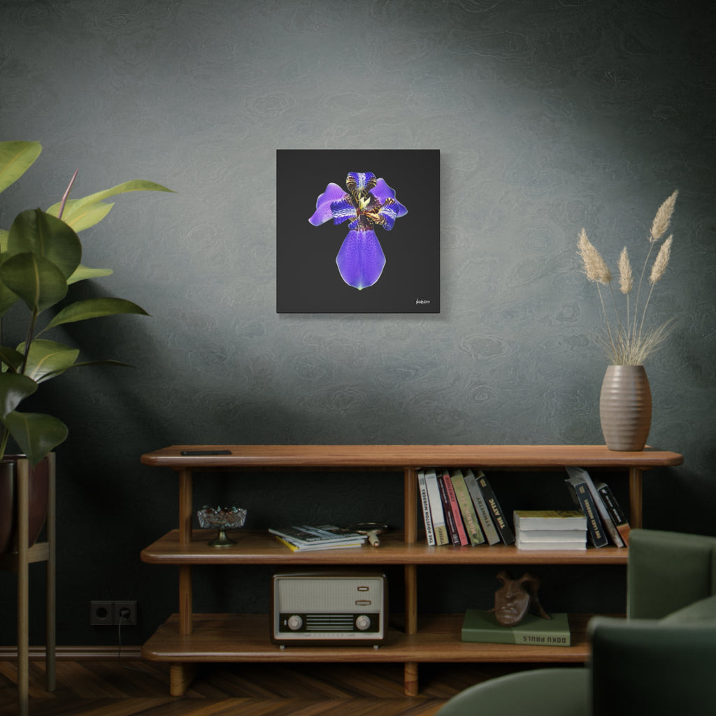 Gift of the Wait - 24X24