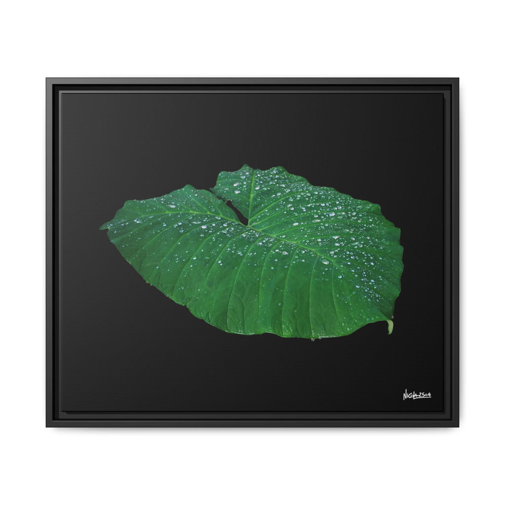Blessing of the Rain Framed - 24X20