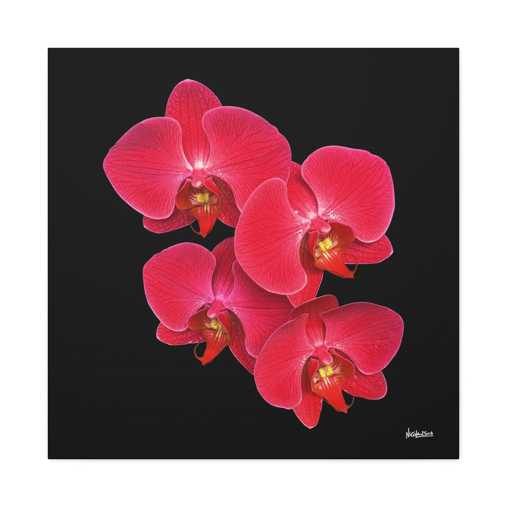 Legacy in Bloom - 30X30