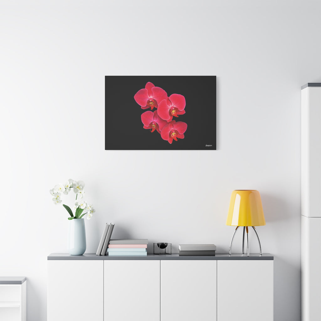 Legacy in Bloom - 36X24