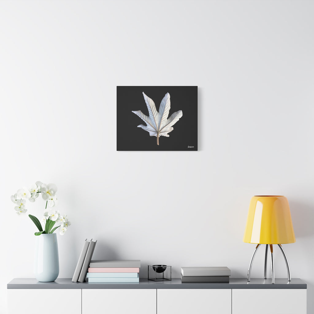 Ivory Solitude - 20X16