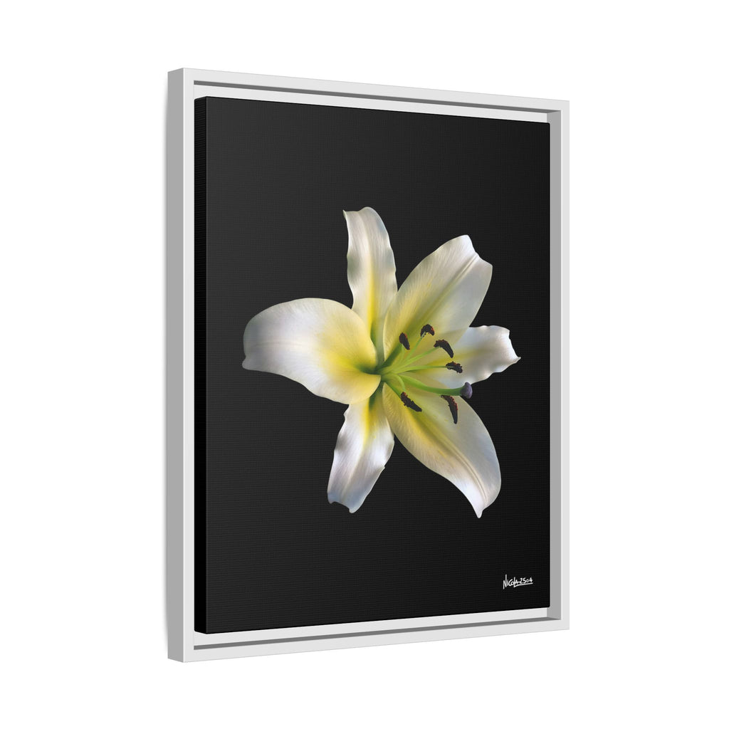 Nature's Paradise Framed - 16X20