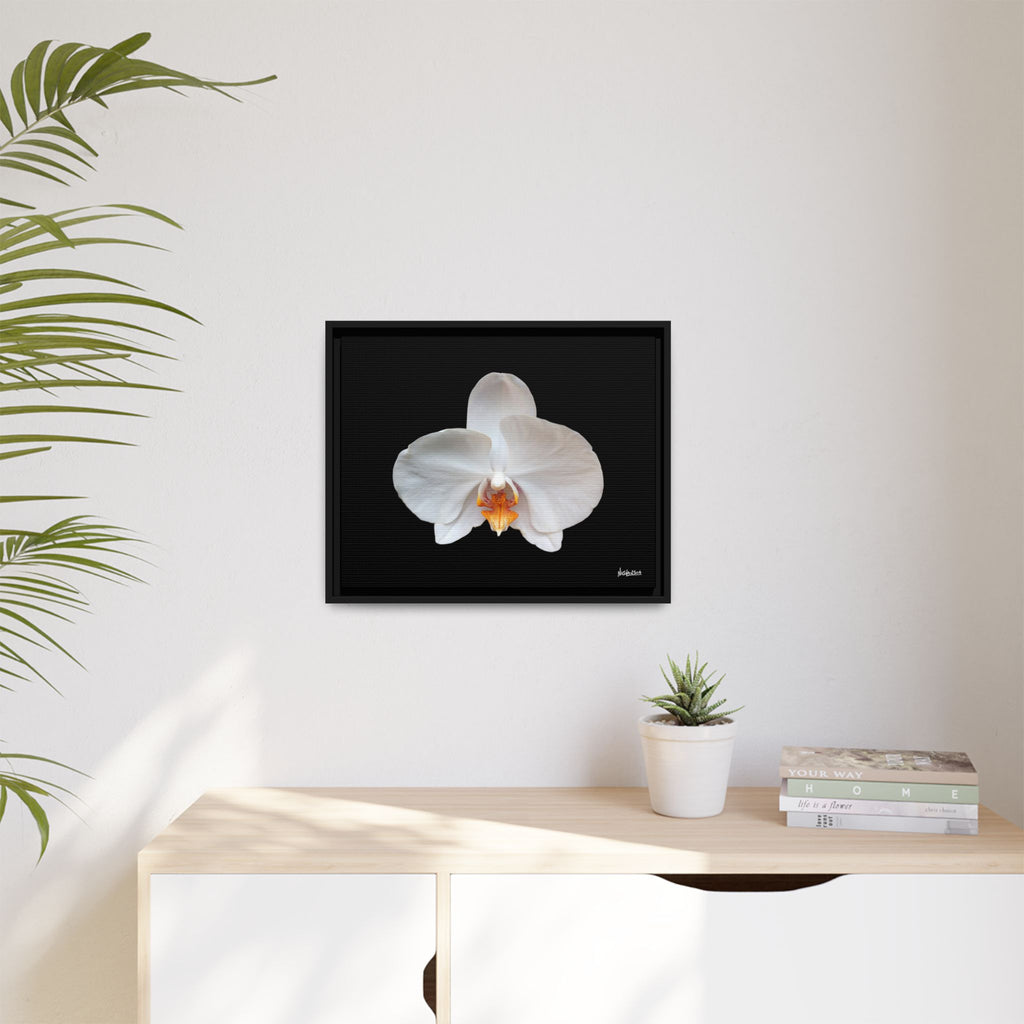 Whispers of the Unseen Framed - 20X16