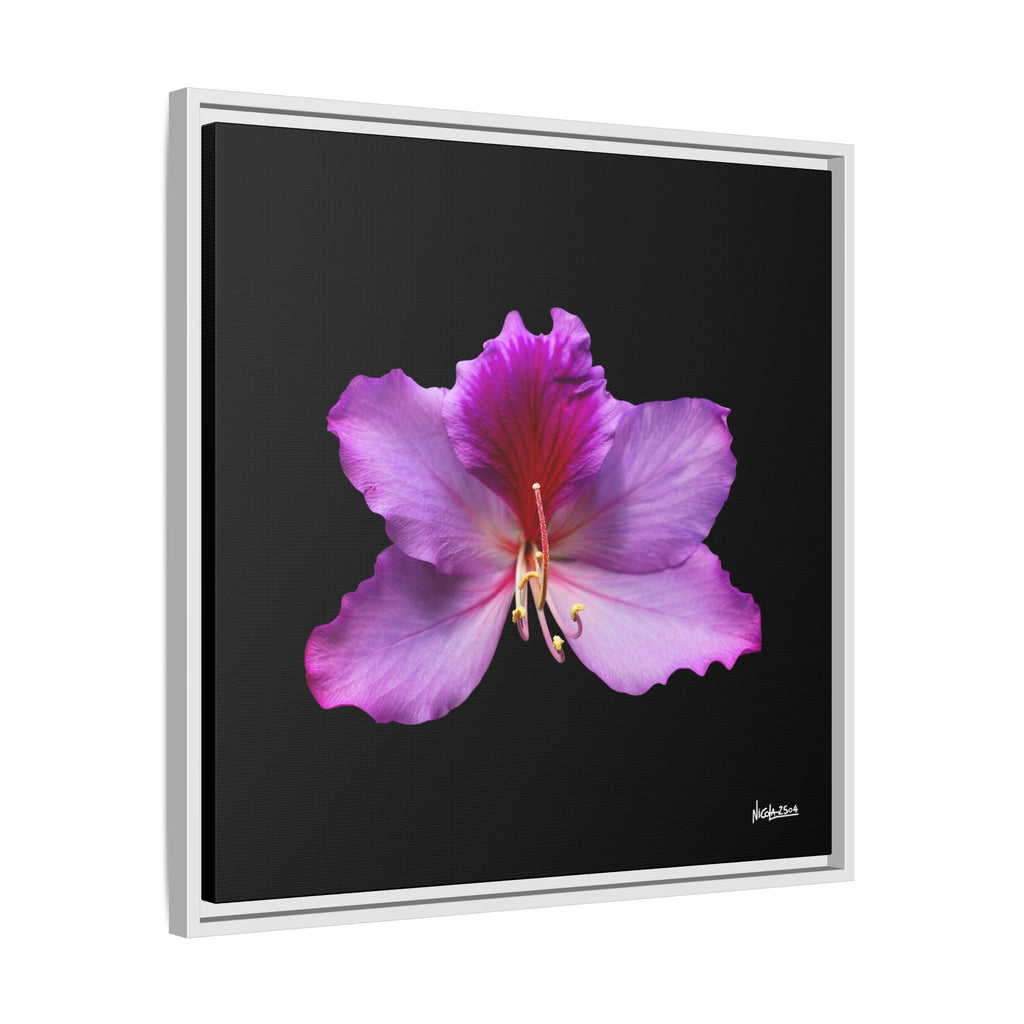 Listening Petals Framed - 24X24