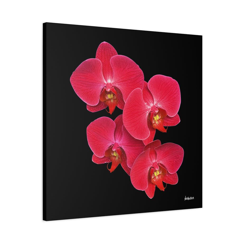 Legacy in Bloom - 30X30