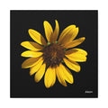 Radiant Inner Sun - 16X16