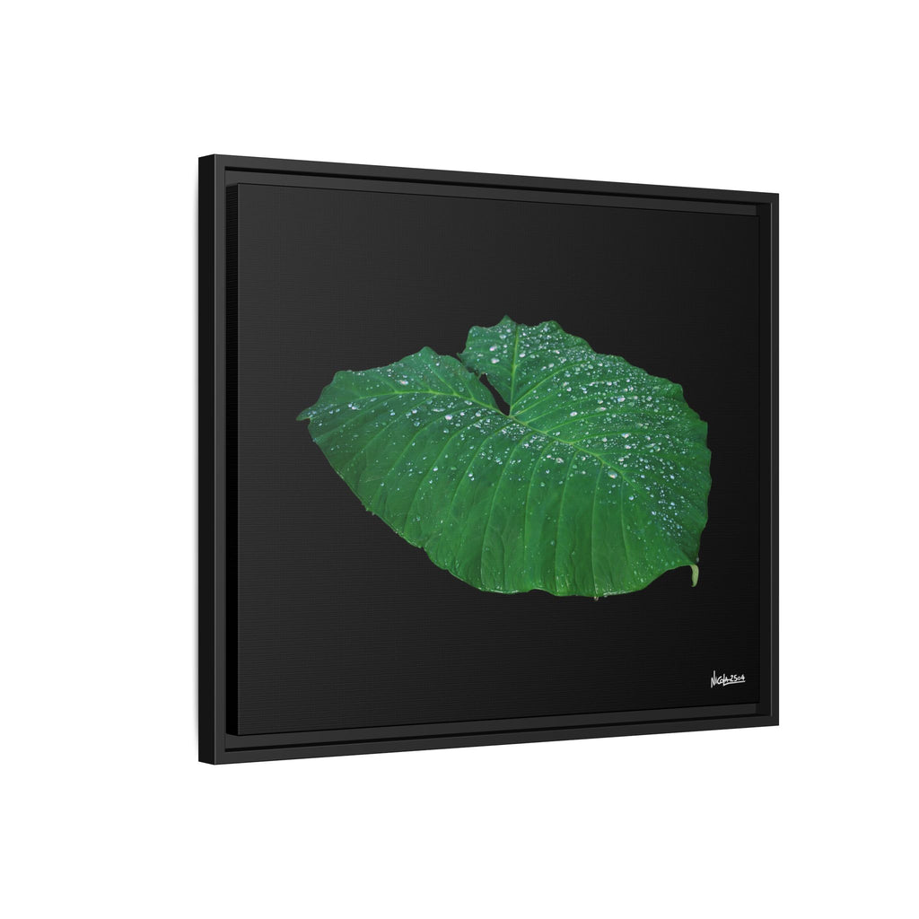 Blessing of the Rain Framed - 24X20