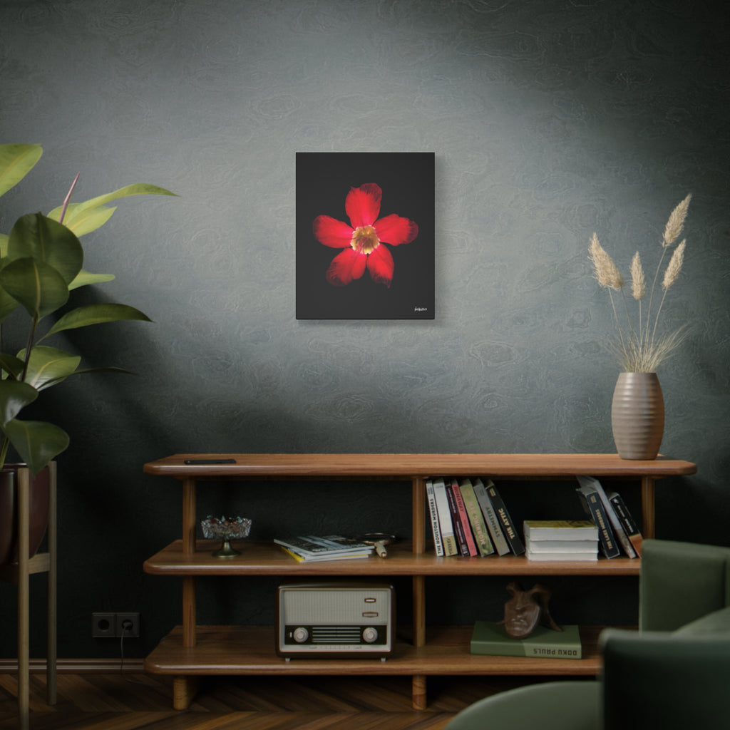 Passion in Bloom - 20X24