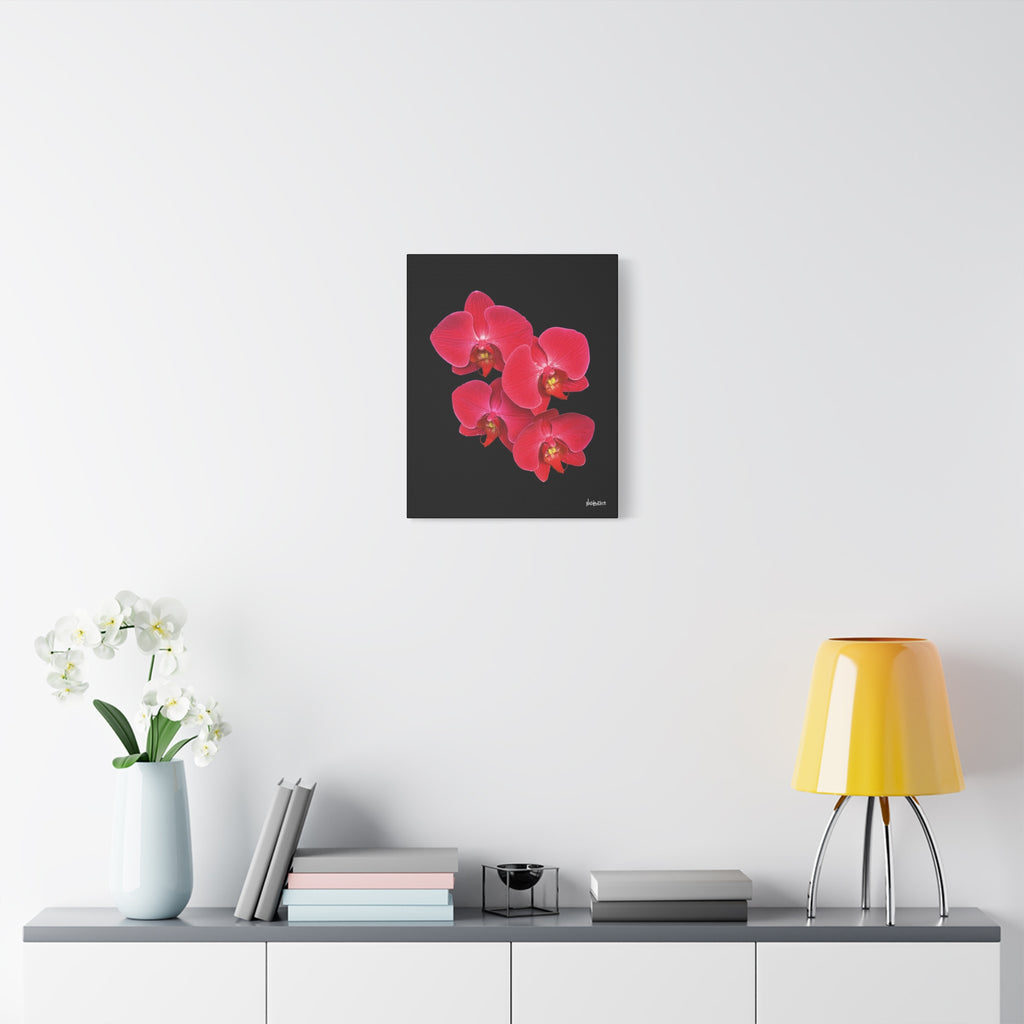 Legacy in Bloom - 16X20