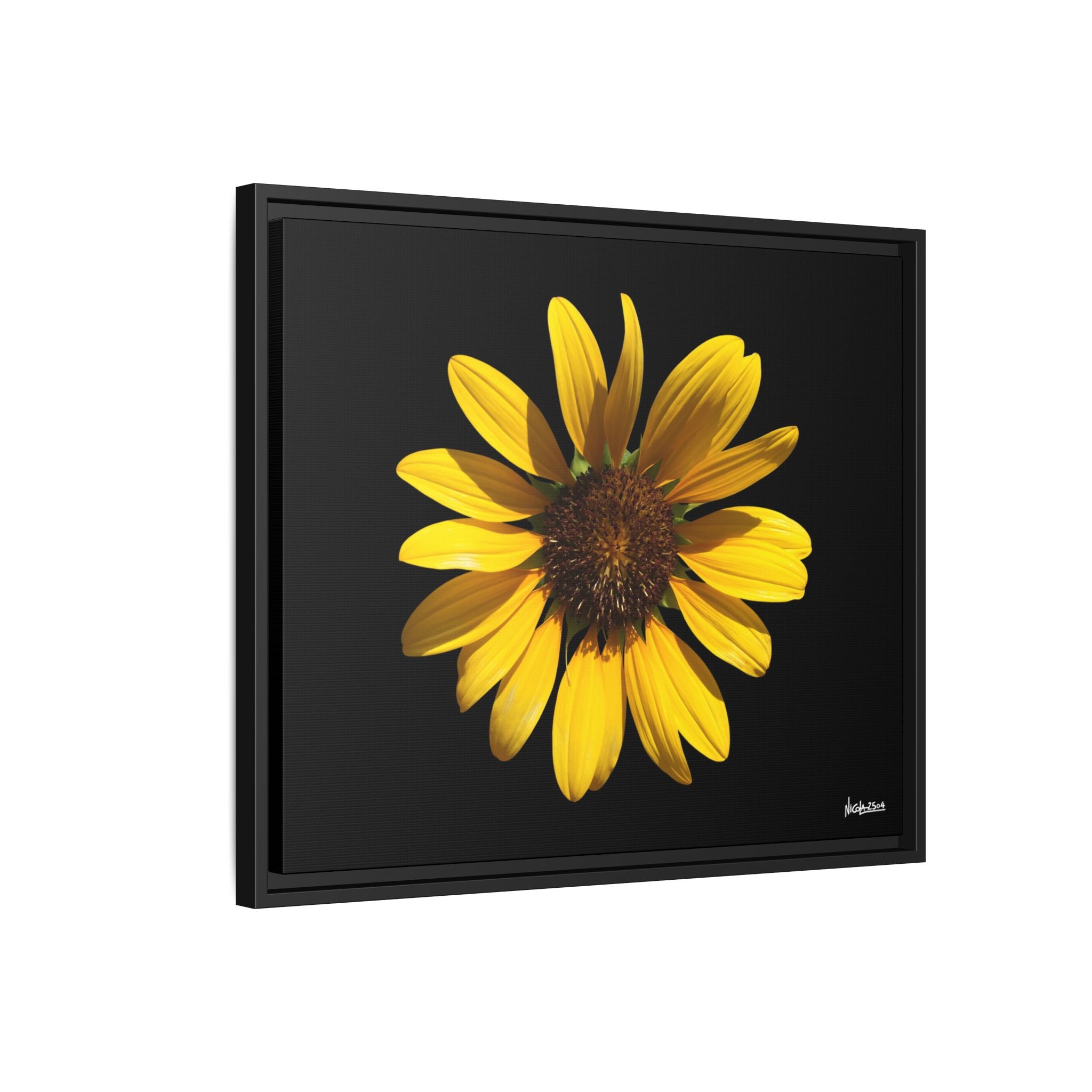 Radiant Inner Sun Framed - 24X20