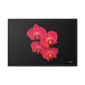 Legacy in Bloom Framed - 36X24