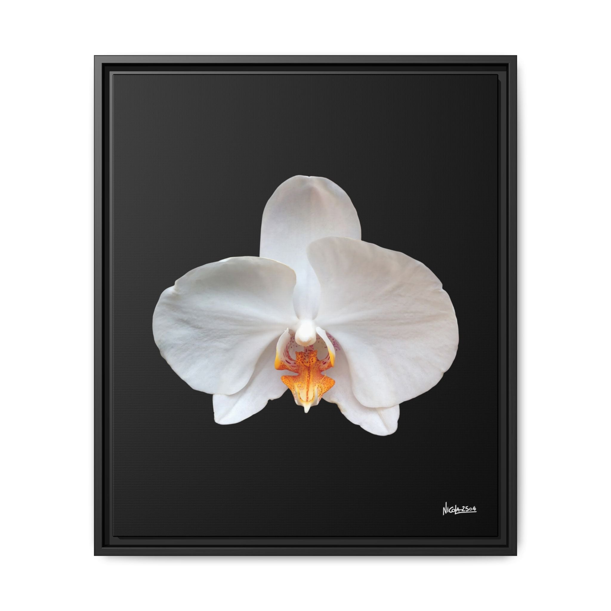 Whispers of the Unseen Framed - 20X24