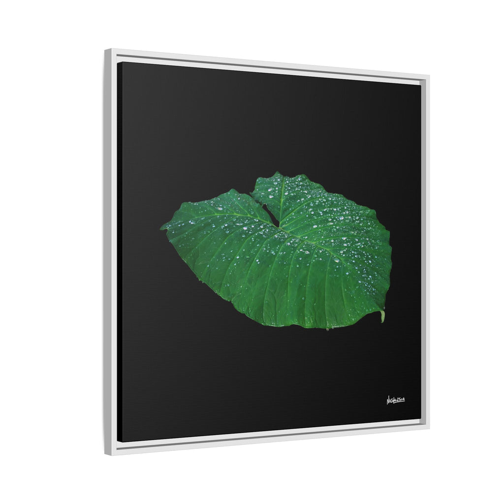 Blessing of the Rain Framed - 30X30