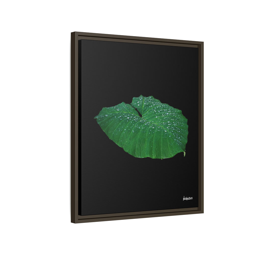 Blessing of the Rain Framed - 20X24